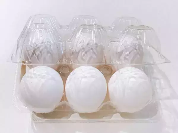 卵パックの切り取り線はちぎらない！　開け方の裏技に「早く知りたかった」【食材の裏技4選】