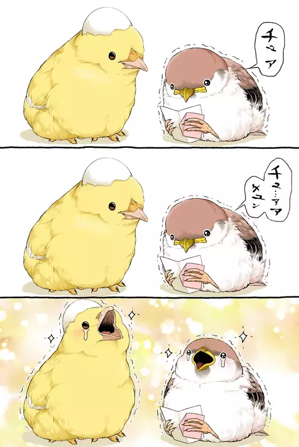 スズメがヒヨコに向けて読んだ手紙が…2羽が号泣したワケに心温まる【漫画】