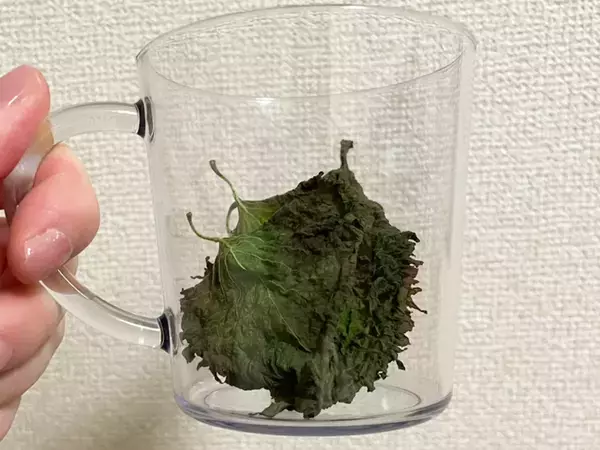 大葉は刻まず『砕く』！　電子レンジに3分入れるアイディアに「カリカリ食感」「大量消費にいい」