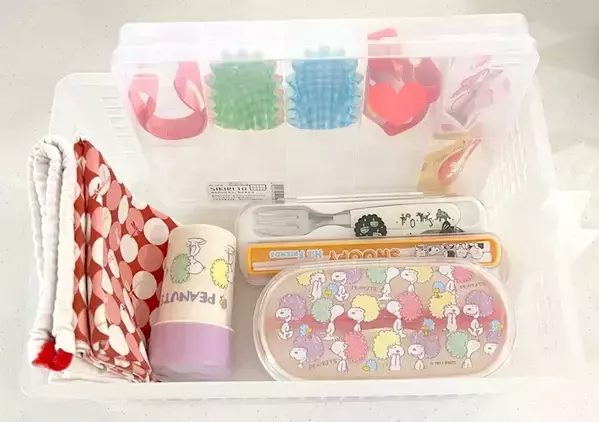100均の仕切りケースが「神だった…」　片づけのプロ直伝！愛用ワザ3選
