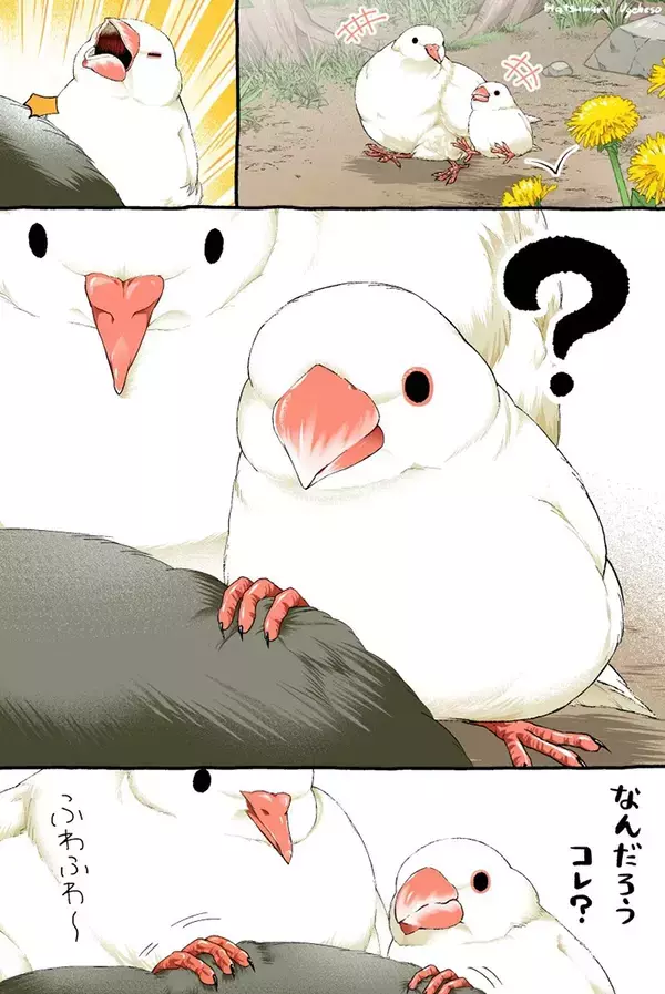 言い争うスズメと文鳥　そこにやって来たのは…漫画にツッコミの声