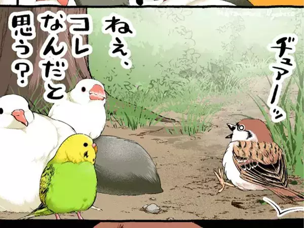 言い争うスズメと文鳥　そこにやって来たのは…漫画にツッコミの声