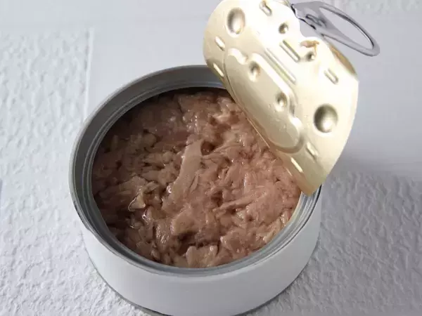 ツナ缶はスポンジでこすりません！　油汚れを落とす裏技に「考えつかなかった」【家事テク4選】