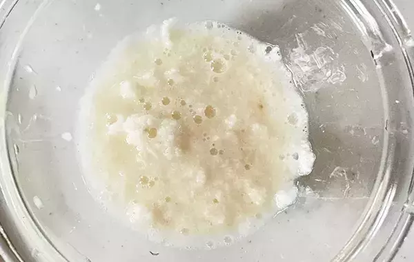 千切りキャベツを湯通しして？　春巻き“たこ焼き風”アレンジ【作り方】