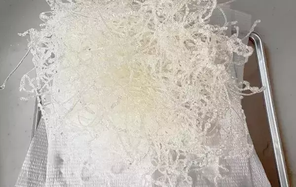 使う食材は春雨だけ！「無限に食べられる」夫が大好きな『春雨揚げ』