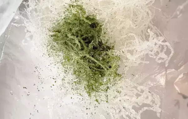 使う食材は春雨だけ！「無限に食べられる」夫が大好きな『春雨揚げ』