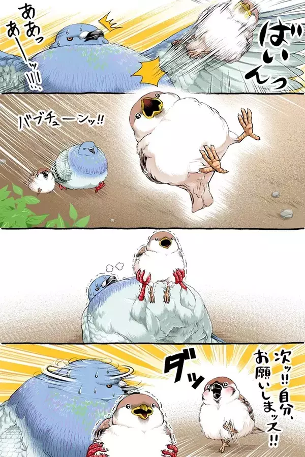 【2万いいね】転びそうなスズメを『鳩胸』で助けたハト　その後の展開にクスッ！