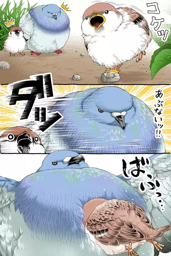 【2万いいね】転びそうなスズメを『鳩胸』で助けたハト　その後の展開にクスッ！