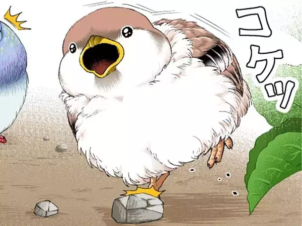 【2万いいね】転びそうなスズメを『鳩胸』で助けたハト　その後の展開にクスッ！