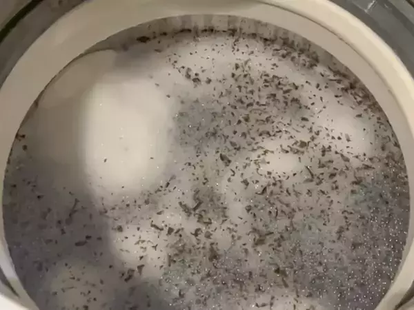 梅雨前にやって！　洗濯槽を清潔に保つ3つのコツ【洗濯のプロ監修】