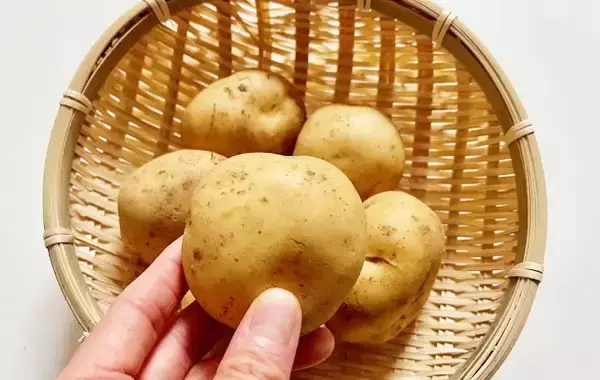 新ジャガ、フードスペシャリストはこう食べる！　ひき肉と炒めたら「家族にヒット」