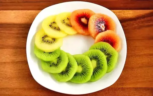 カフェで出てくるやつ？　簡単なのに見栄えする「キウイとヨーグルトの冷凍おやつ」【管理栄養士】