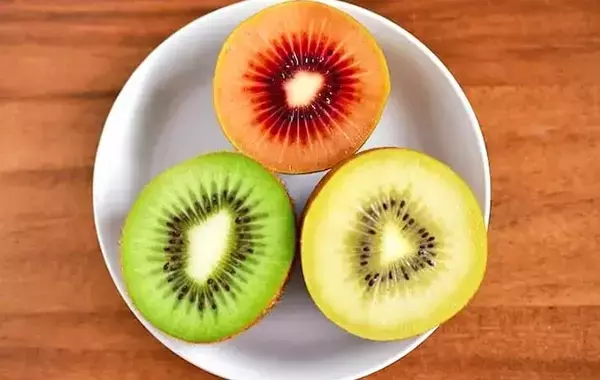 カフェで出てくるやつ？　簡単なのに見栄えする「キウイとヨーグルトの冷凍おやつ」【管理栄養士】