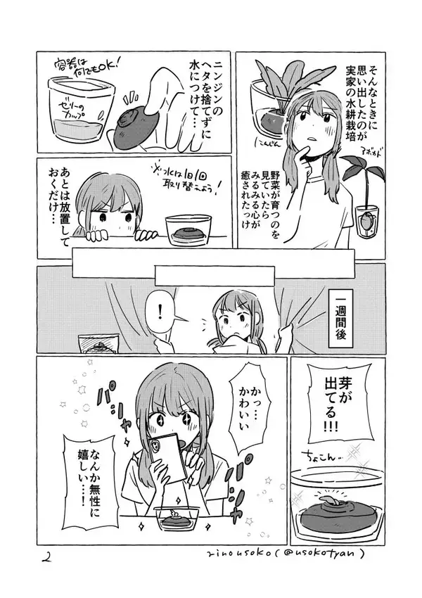 「お金をかけずに癒されたい…」ニンジンのヘタを捨てずに水に浸けた結果？【漫画】