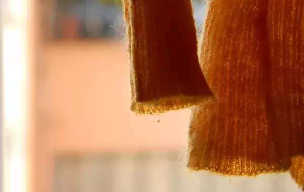 防虫剤を入れる前に…　大切な服をニオイ・虫食いから守る、プロ直伝の衣替え