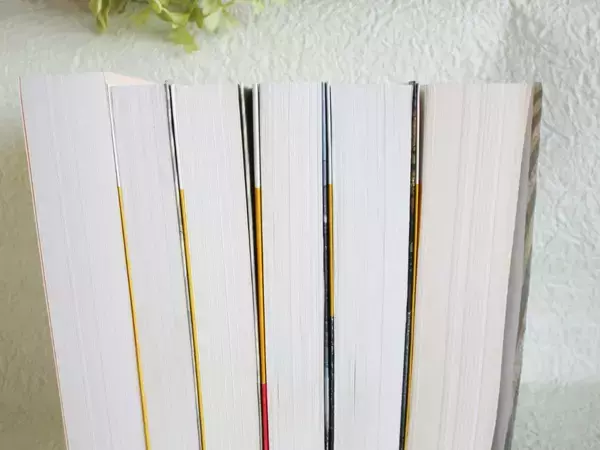 ブックエンドは本立てに使いません！　マグネット1枚で変わる『じゃない使い方』に感動【活用テク4選】