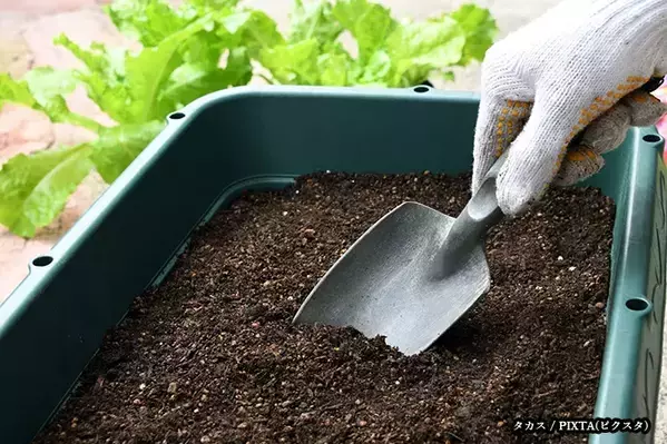 古い土を買わずに再利用！　プランターの土を蘇らせる方法が「目からウロコ」【農業のプロ直伝】