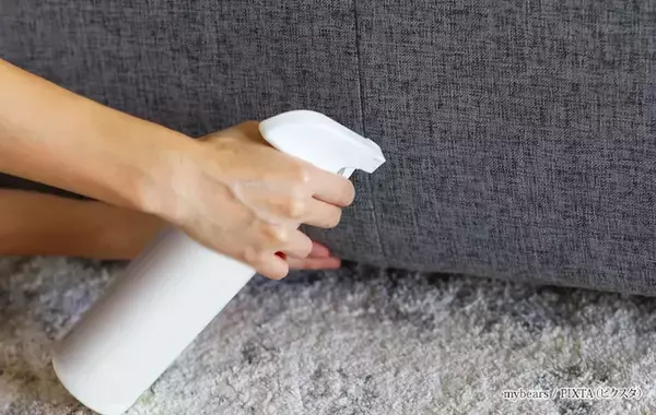 見えない敵『ダニ』が増殖？　梅雨入り前に絶対やっておくべき3つの新常識
