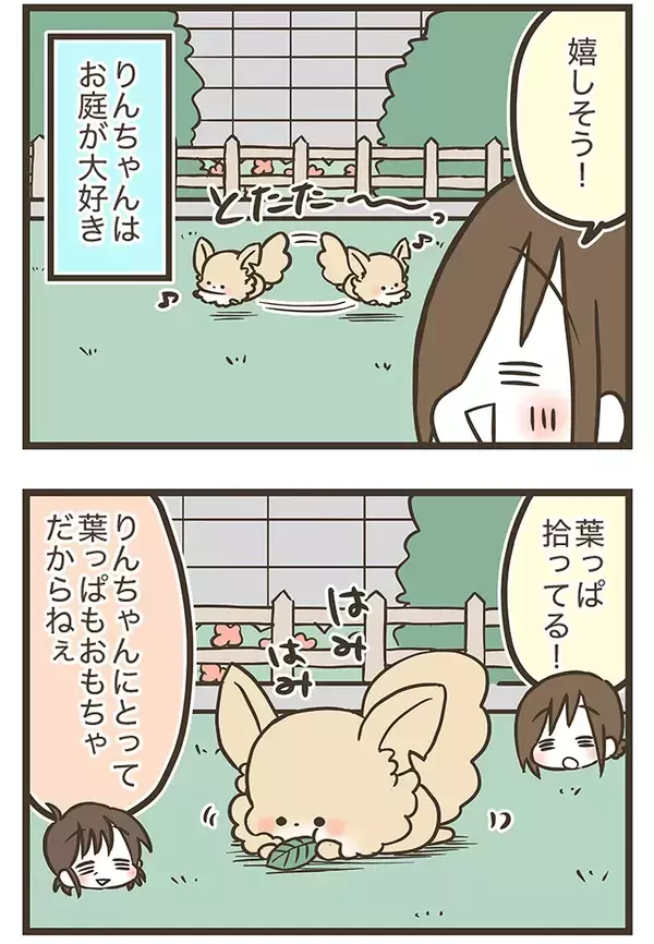 窓を開けたら…！自由奔放なチワワの『かわいすぎる遊び』に癒される【エッセイ漫画】