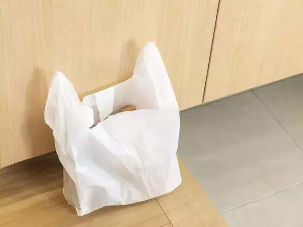 かさばるレジ袋がポーチのような形に　カバンに入れても迷子にならない！【整理整頓のヒント4選】