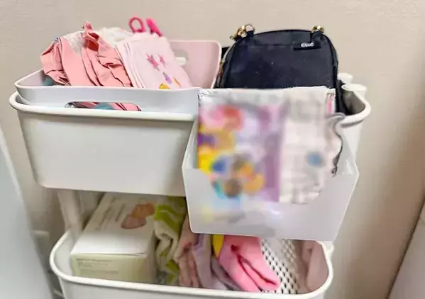 ごちゃつくドアポケット、どうしたらいい？　ダイソーに聞いた「100円収納アイテム」の活用法