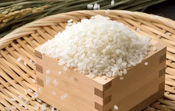 “小分け密閉保存”した米はどこで保管する？　メーカーの回答は