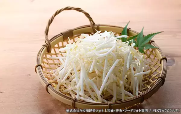 モヤシは袋のまま保存でいい？　長持ちさせる保存方法について聞いてみた
