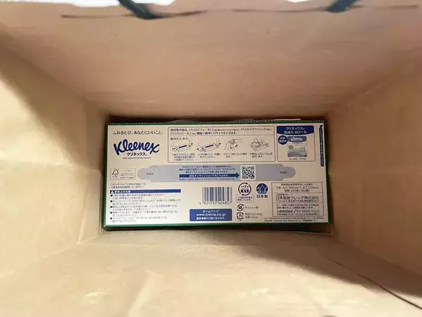 捨てなかった人、正解です！　余った紙袋を「再利用」して吊るせるケースにする裏ワザ