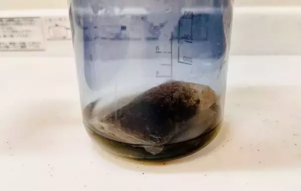 冷蔵庫を開けたら麦茶が空っぽでガッカリ　そんな時に使える30秒で水出し麦茶を作る方法こちら！