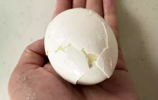 ゆで卵の殻がツルッと剥ける！　コップを使った裏技に「今までの苦労は一体…」
