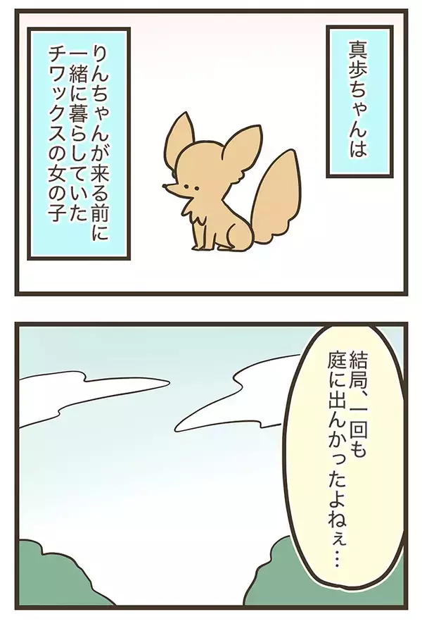 庭で楽しそうに遊ぶチワワ、実はその庭は…　漫画で描く『家族』の物語に感動