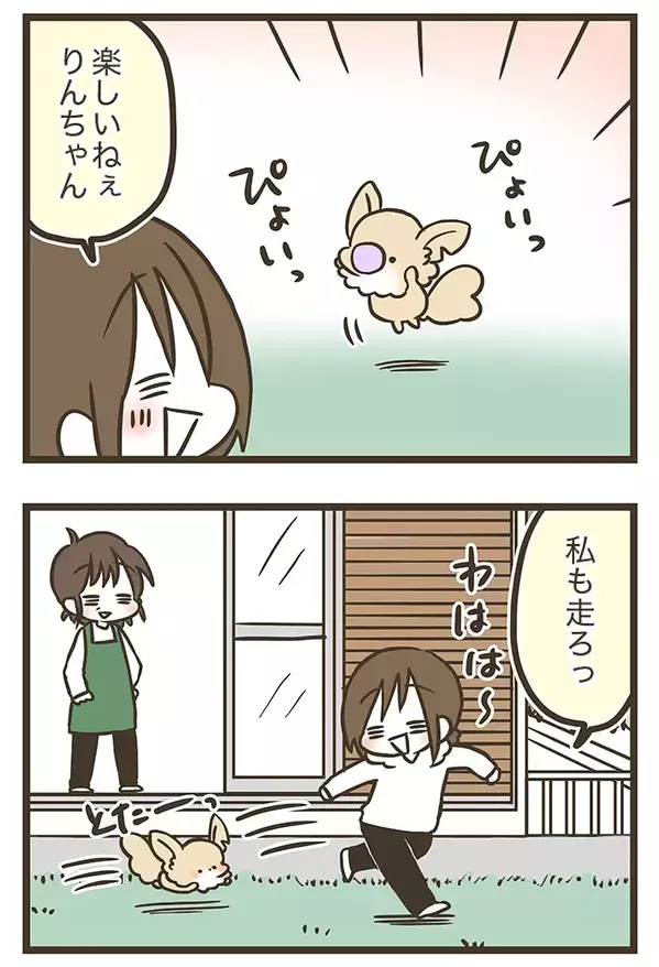 庭で楽しそうに遊ぶチワワ、実はその庭は…　漫画で描く『家族』の物語に感動