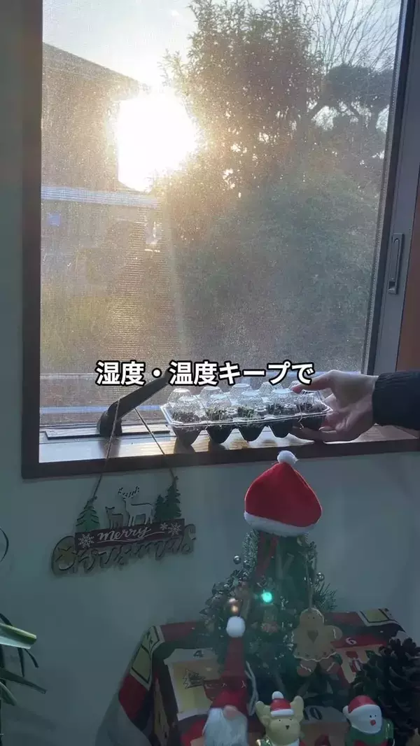 卵パックに穴を開けるだけ！　野菜作りに便利な『ミニ温室』に変える方法【肥料メーカー直伝】