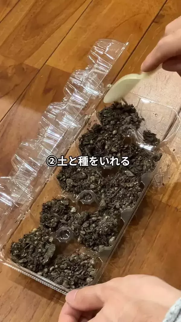 卵パックに穴を開けるだけ！　野菜作りに便利な『ミニ温室』に変える方法【肥料メーカー直伝】