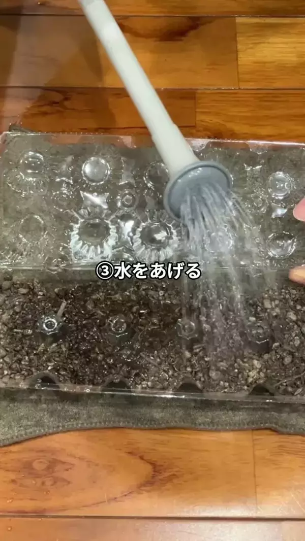 卵パックに穴を開けるだけ！　野菜作りに便利な『ミニ温室』に変える方法【肥料メーカー直伝】