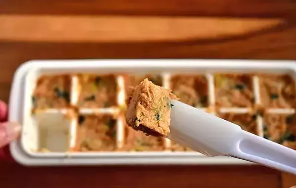 味噌を製氷皿に詰めるだけ！　管理栄養士が試した保存テクに「1人分にピッタリ」