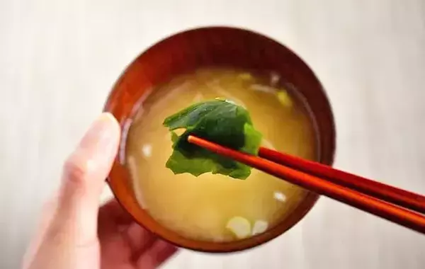 味噌を製氷皿に詰めるだけ！　管理栄養士が試した保存テクに「1人分にピッタリ」