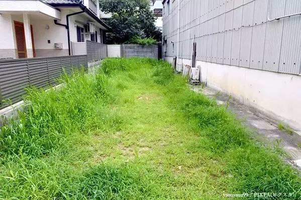 農機具店が教える『雑草』が生えにくくなる裏技　処理のコツに「目からウロコ」