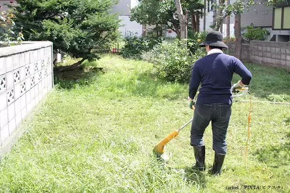 農機具店が教える『雑草』が生えにくくなる裏技　処理のコツに「目からウロコ」