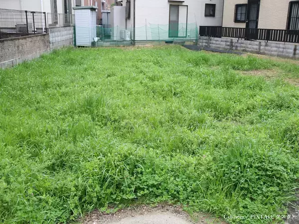 農機具店が教える『雑草』が生えにくくなる裏技　処理のコツに「目からウロコ」