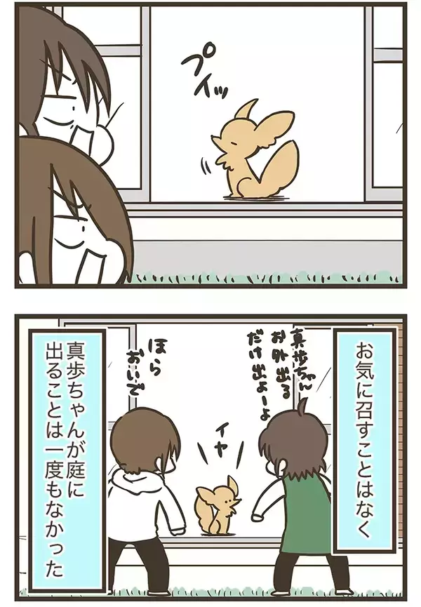 愛犬のために人工芝を敷いたのに…　予想外のそっけない態度に癒される