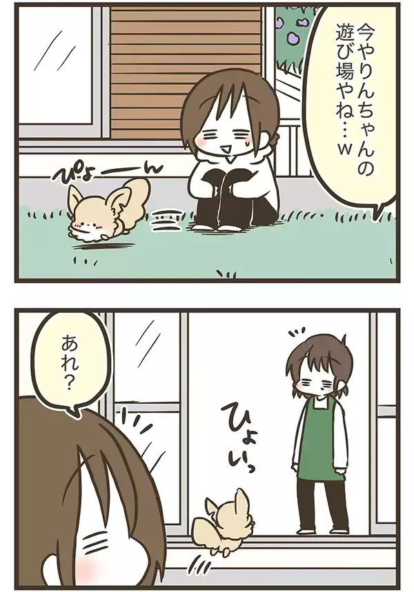 愛犬のために人工芝を敷いたのに…　予想外のそっけない態度に癒される