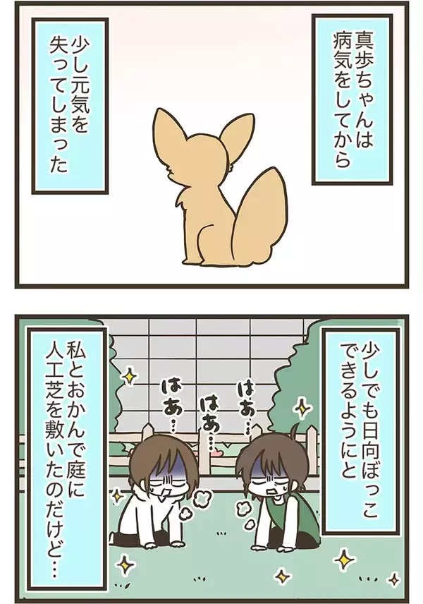 愛犬のために人工芝を敷いたのに…　予想外のそっけない態度に癒される