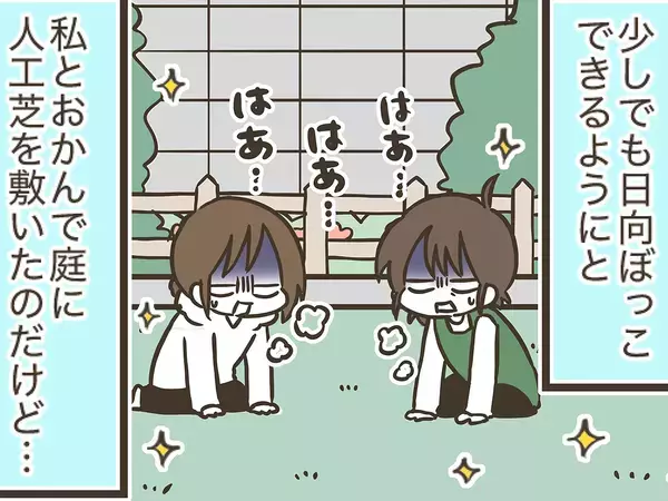 愛犬のために人工芝を敷いたのに…　予想外のそっけない態度に癒される