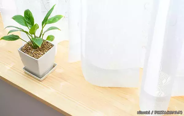 カーテンの丈、短すぎるとどうなる？　販売店に聞いたデメリット