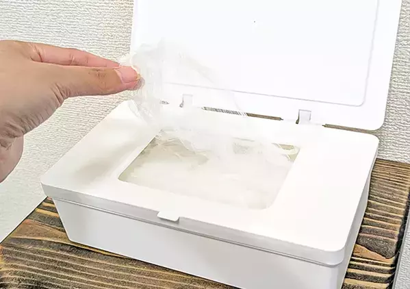 110円のマスクケース、入れたのはマスクではなく？　ダイソーに聞いた！家中で使える収納アイディア