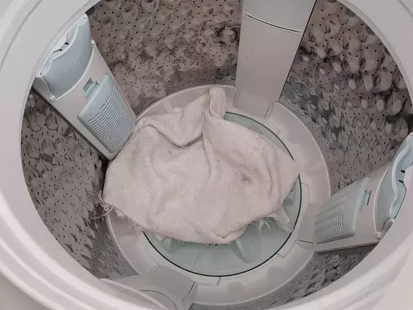 「人間の服とペット用タオル、一緒に洗うと…」　洗濯研究家が教える正しい洗い方