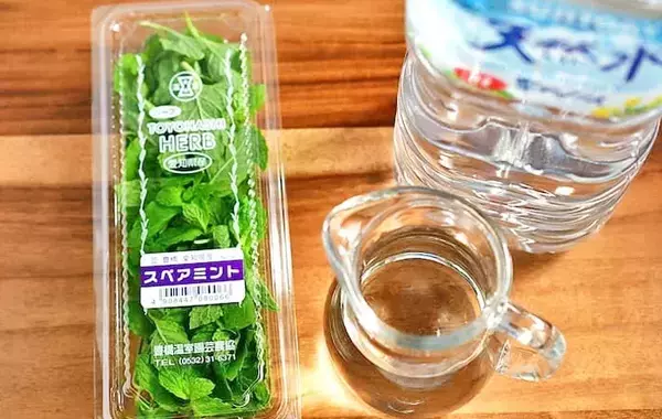 材料2つだけ！　管理栄養士が氷の中に入れたのは…「暑い日にピッタリ」「アイスティーに合う」