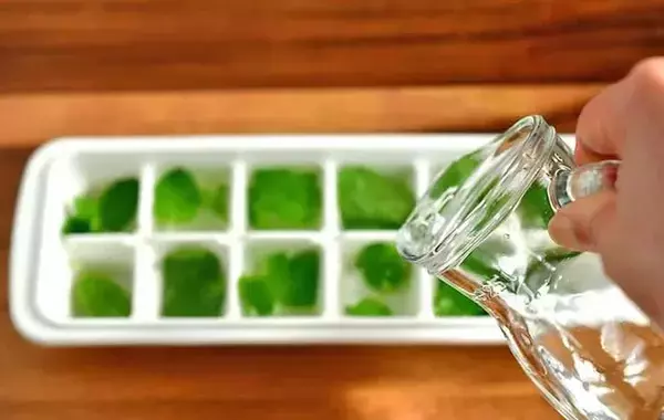 材料2つだけ！　管理栄養士が氷の中に入れたのは…「暑い日にピッタリ」「アイスティーに合う」