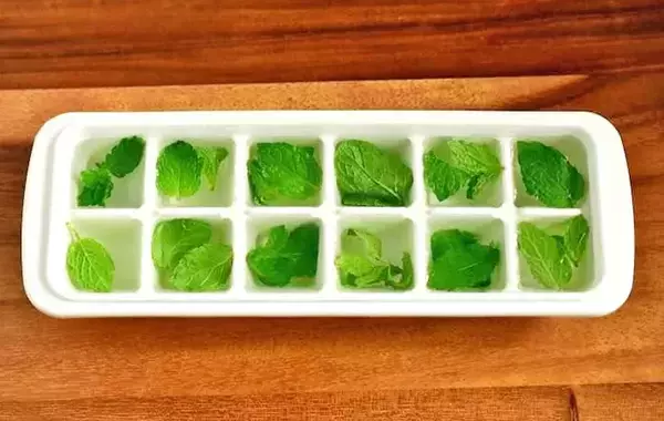 材料2つだけ！　管理栄養士が氷の中に入れたのは…「暑い日にピッタリ」「アイスティーに合う」